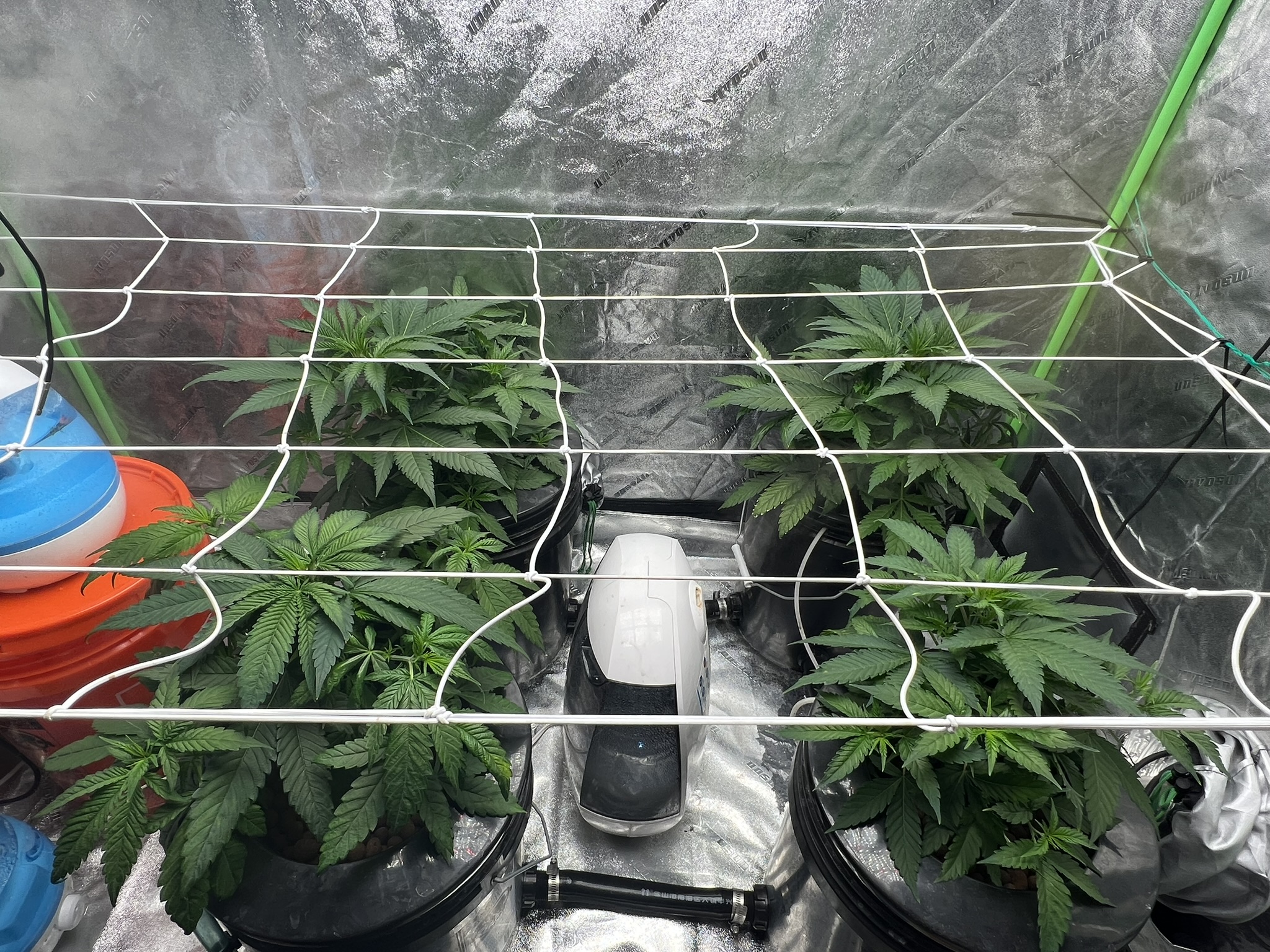 Grow Project 11